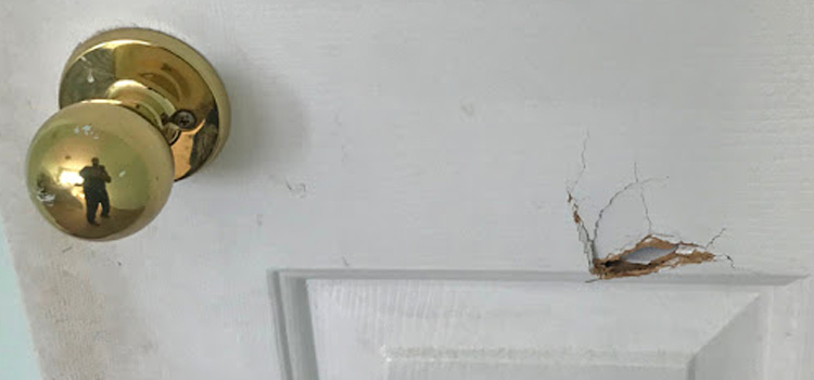 interior door hole repair Isla Vista